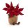 Amuseable Poinsettia von Jellycat