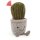Silly Succulent Barrel Cactus von Jellycat